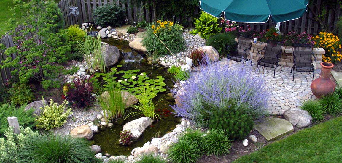 pond design