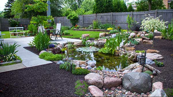 Pond Packages – Ponds by Bee Landscaping